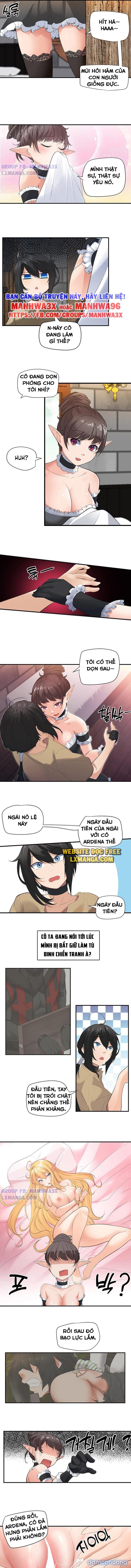 Nô lệ tộc elf 