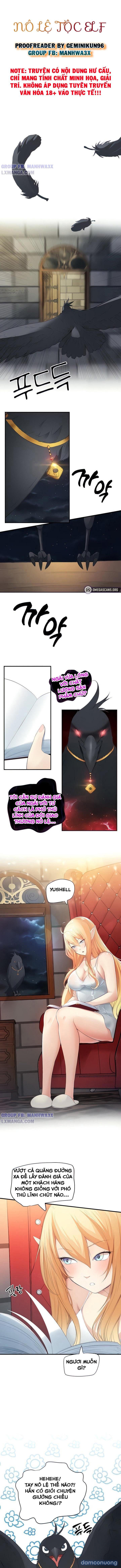 Nô lệ tộc elf 