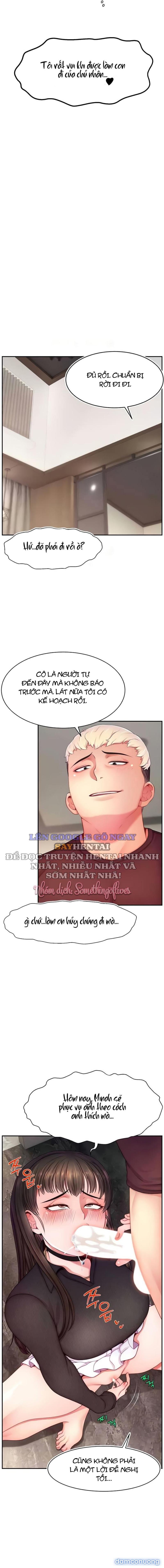 Bạn Tình Là Streamer 