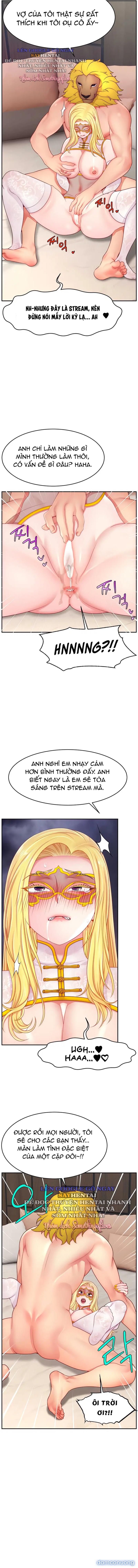 Bạn Tình Là Streamer 
