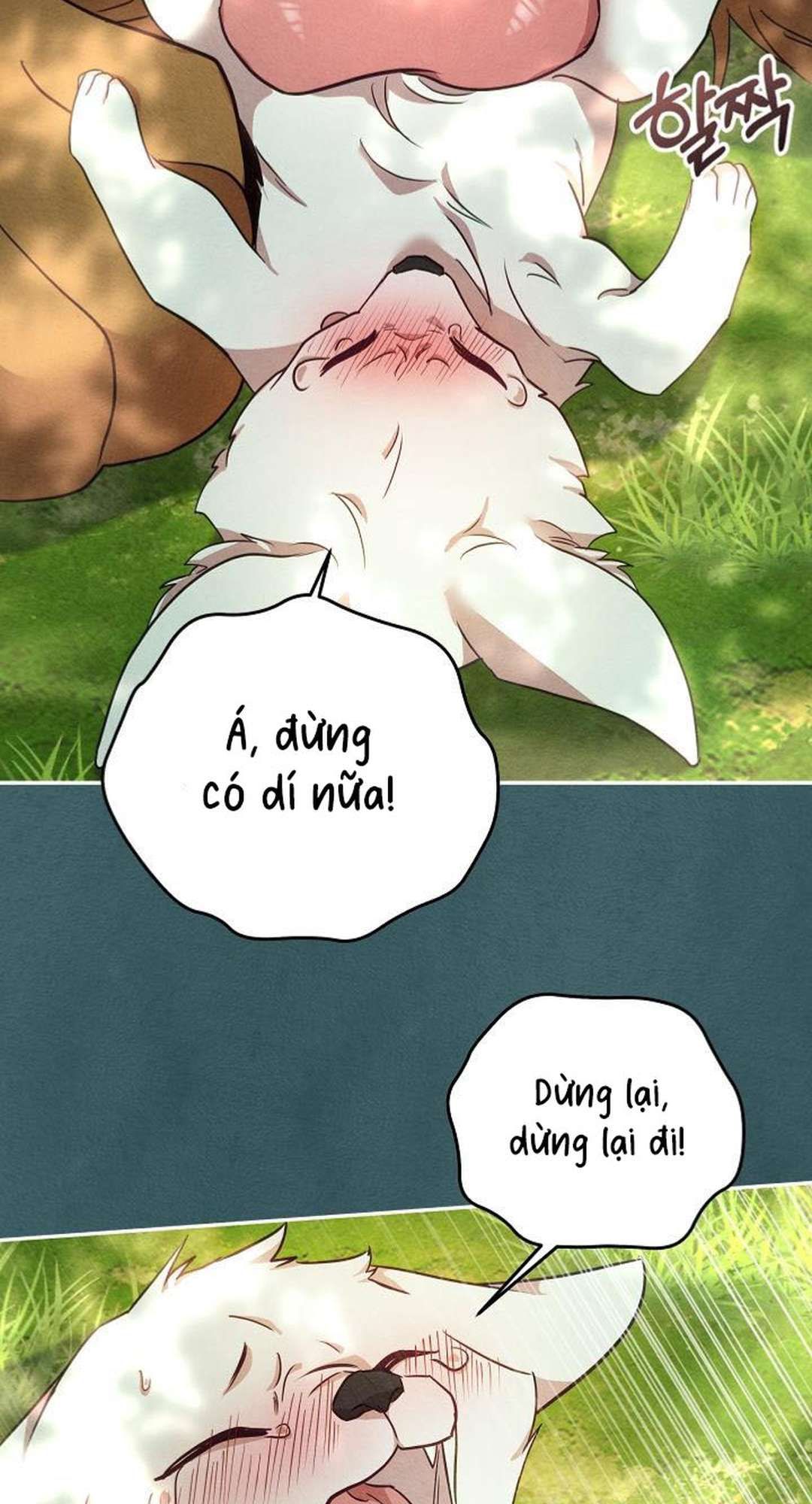 [ 18+ ] Khúc ca của loài cầm thú 