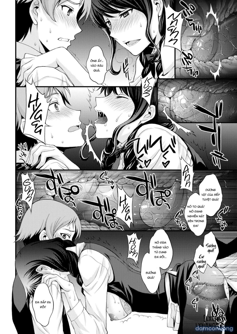 Sakura's Hole 
