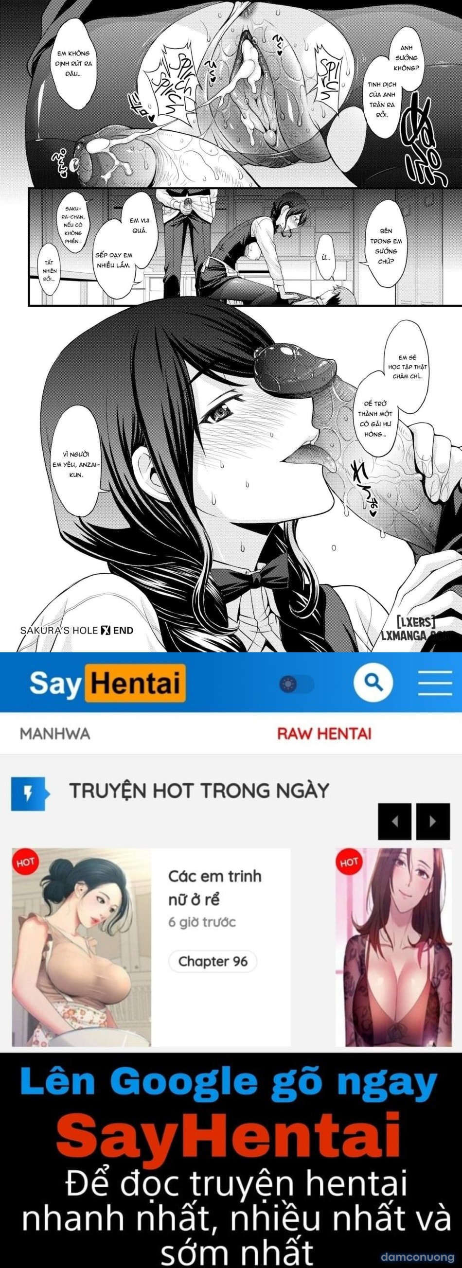 Sakura's Hole 