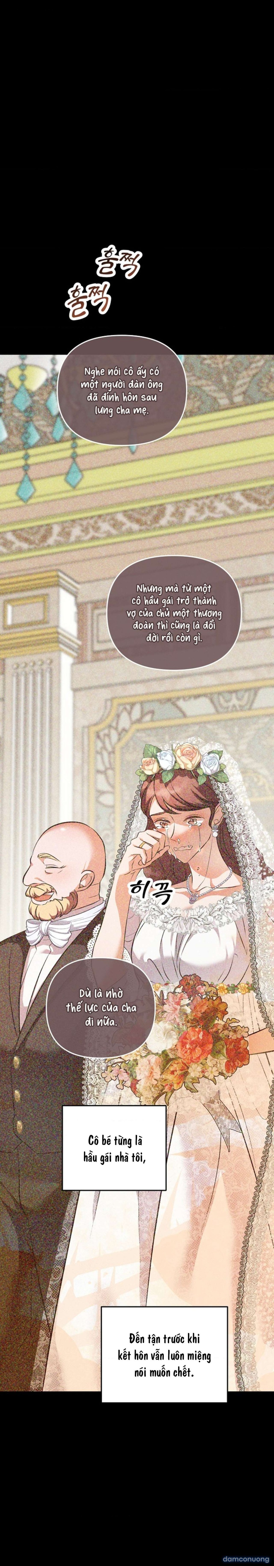 [ 18+ ] Lễ Tang Của Hầu Tước Meitner 