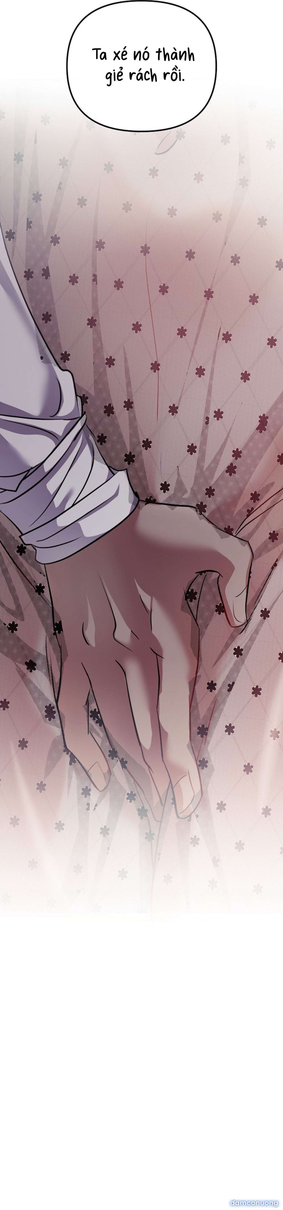 [ 18+ ] Lễ Tang Của Hầu Tước Meitner 
