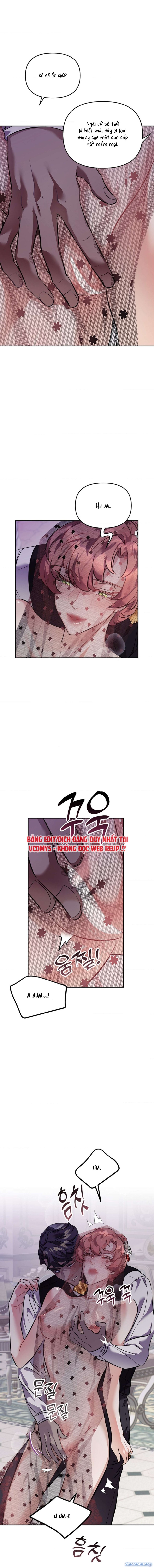 [ 18+ ] Lễ Tang Của Hầu Tước Meitner 