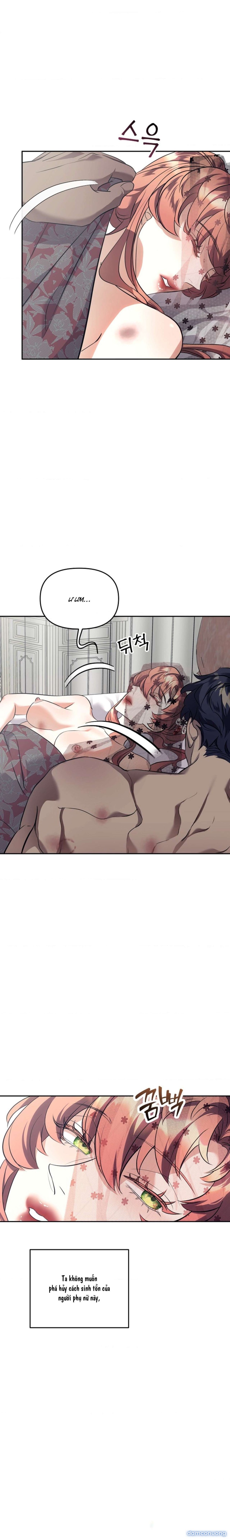 [ 18+ ] Lễ Tang Của Hầu Tước Meitner 