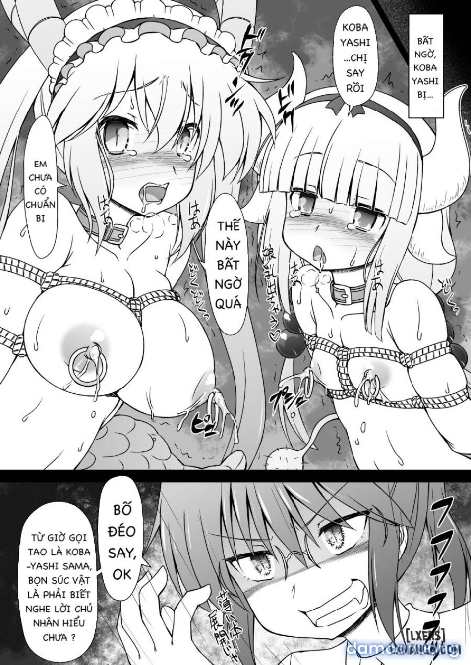 Kobayashi-san-chi no Seido Dragon 