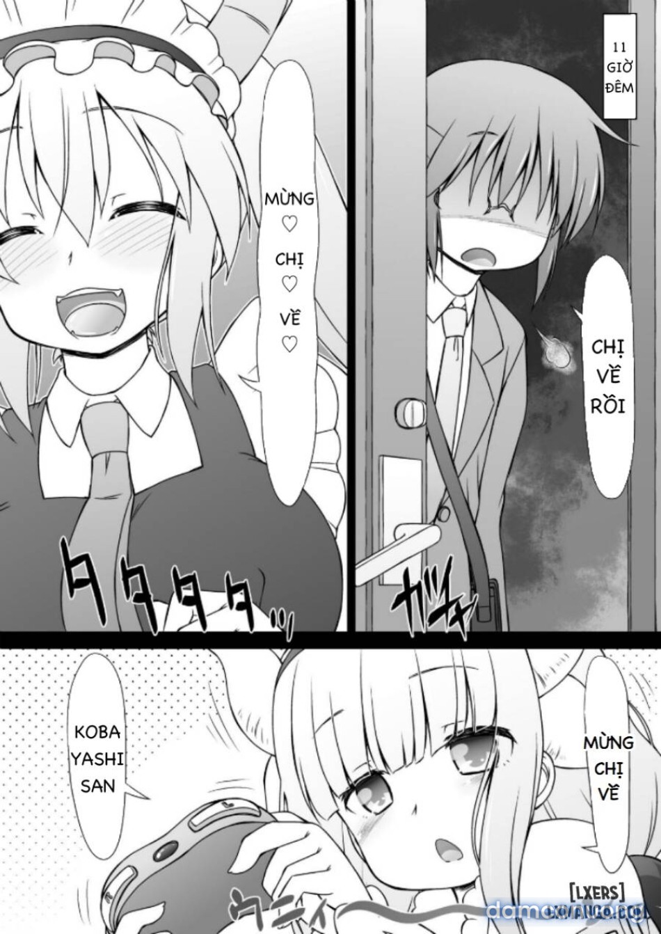 Kobayashi-san-chi no Seido Dragon 