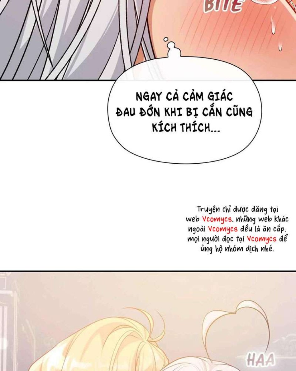 Cuộc Vui Thác Loạn Tử Thần 