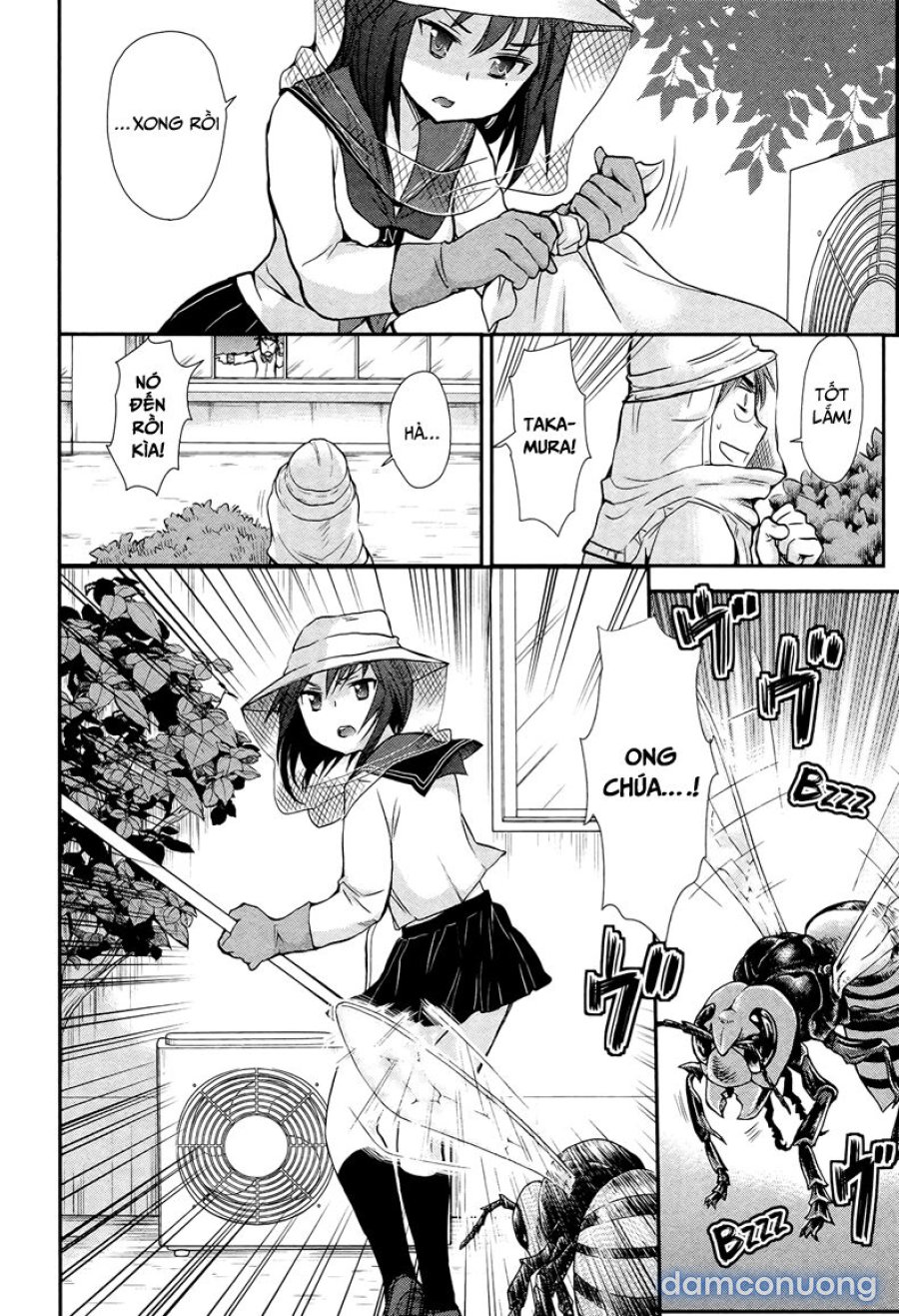 Henjo – Hen na Joshi Kousei Amaguri Chiko 