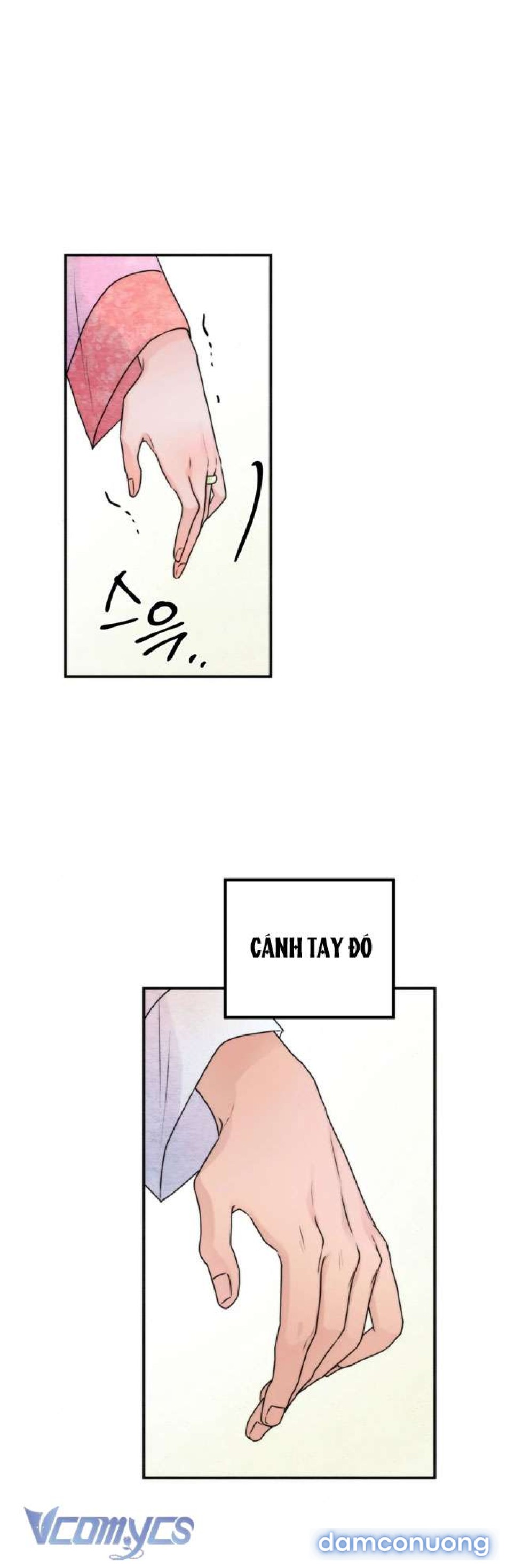[KHÔNG CHE] Đâu Mới Là Thật? 