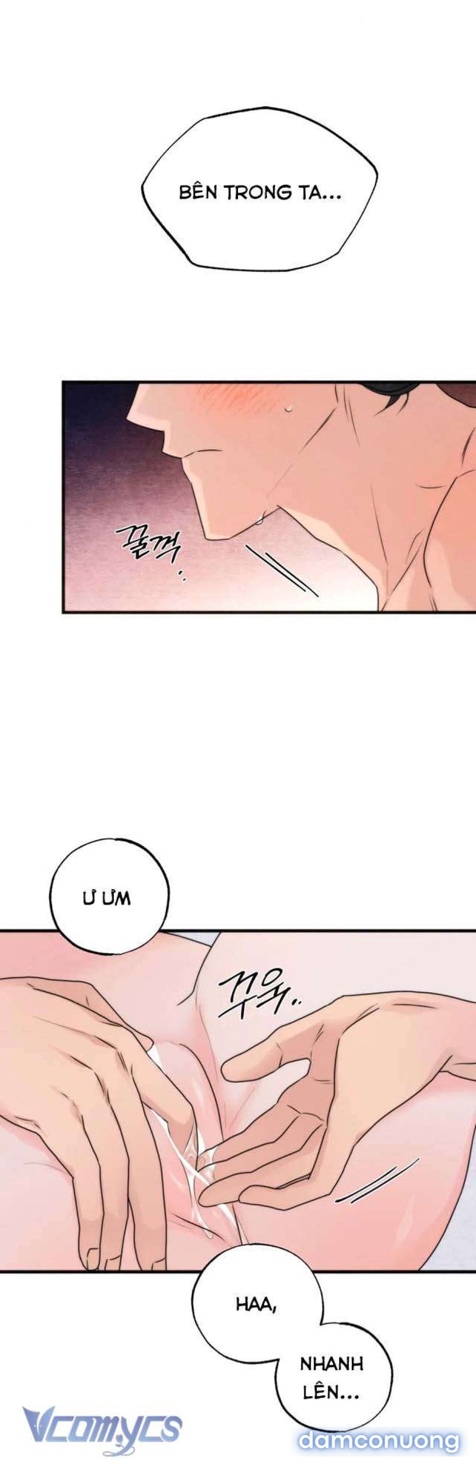 [KHÔNG CHE] Đâu Mới Là Thật? 