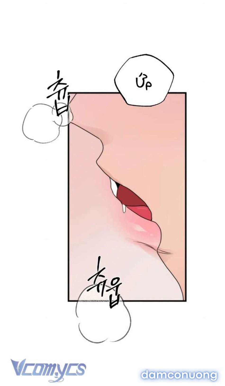 [KHÔNG CHE] Đâu Mới Là Thật? 