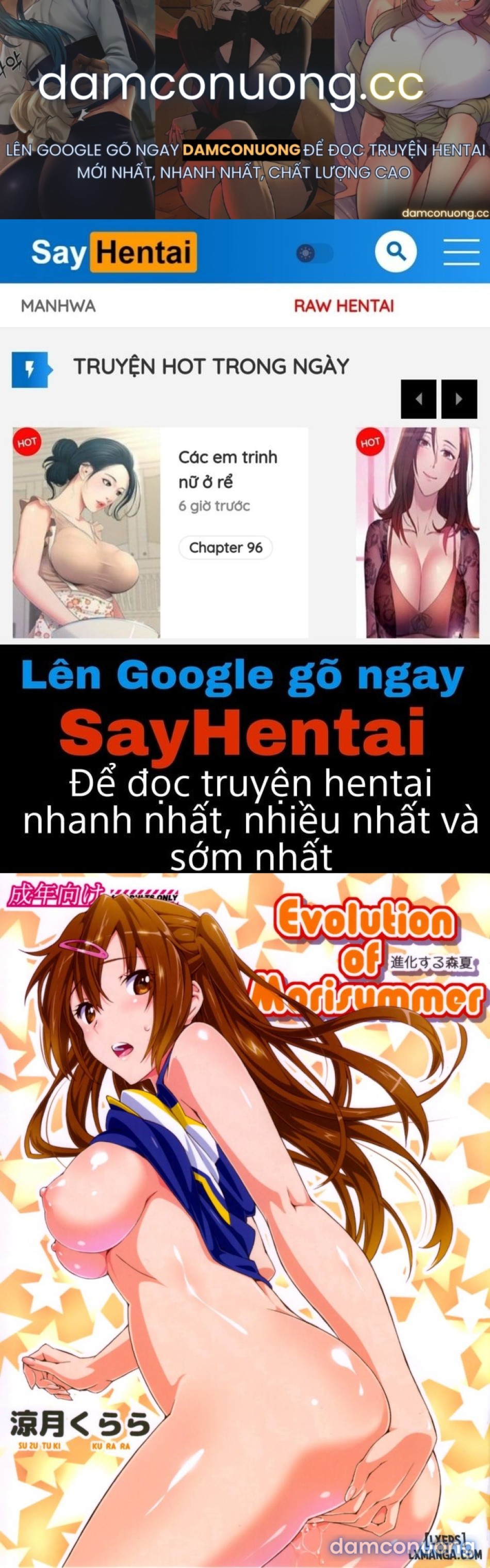 Evolution of Morisummer 