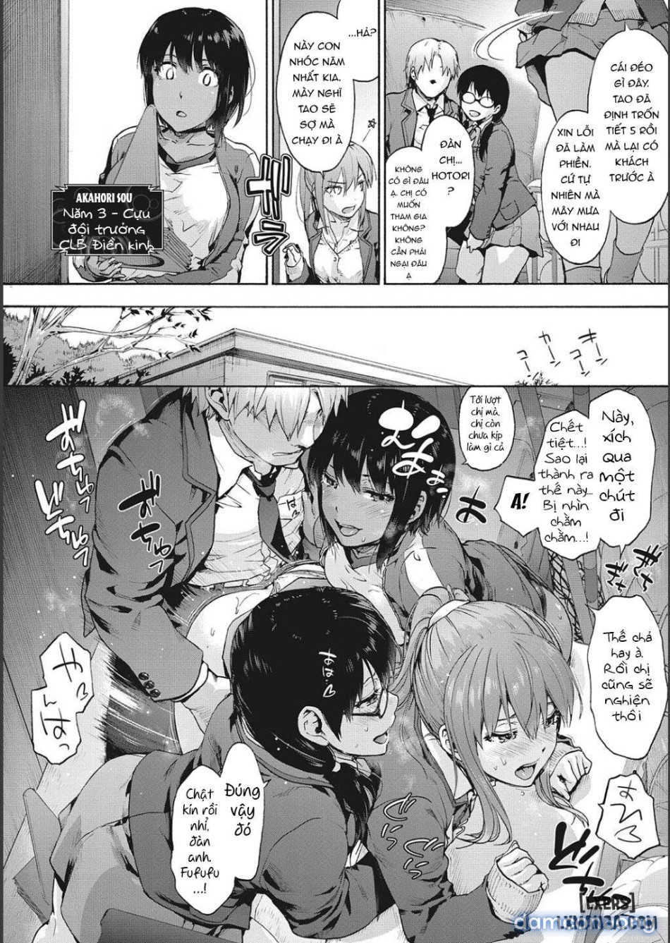 Harem Cult side CULT 