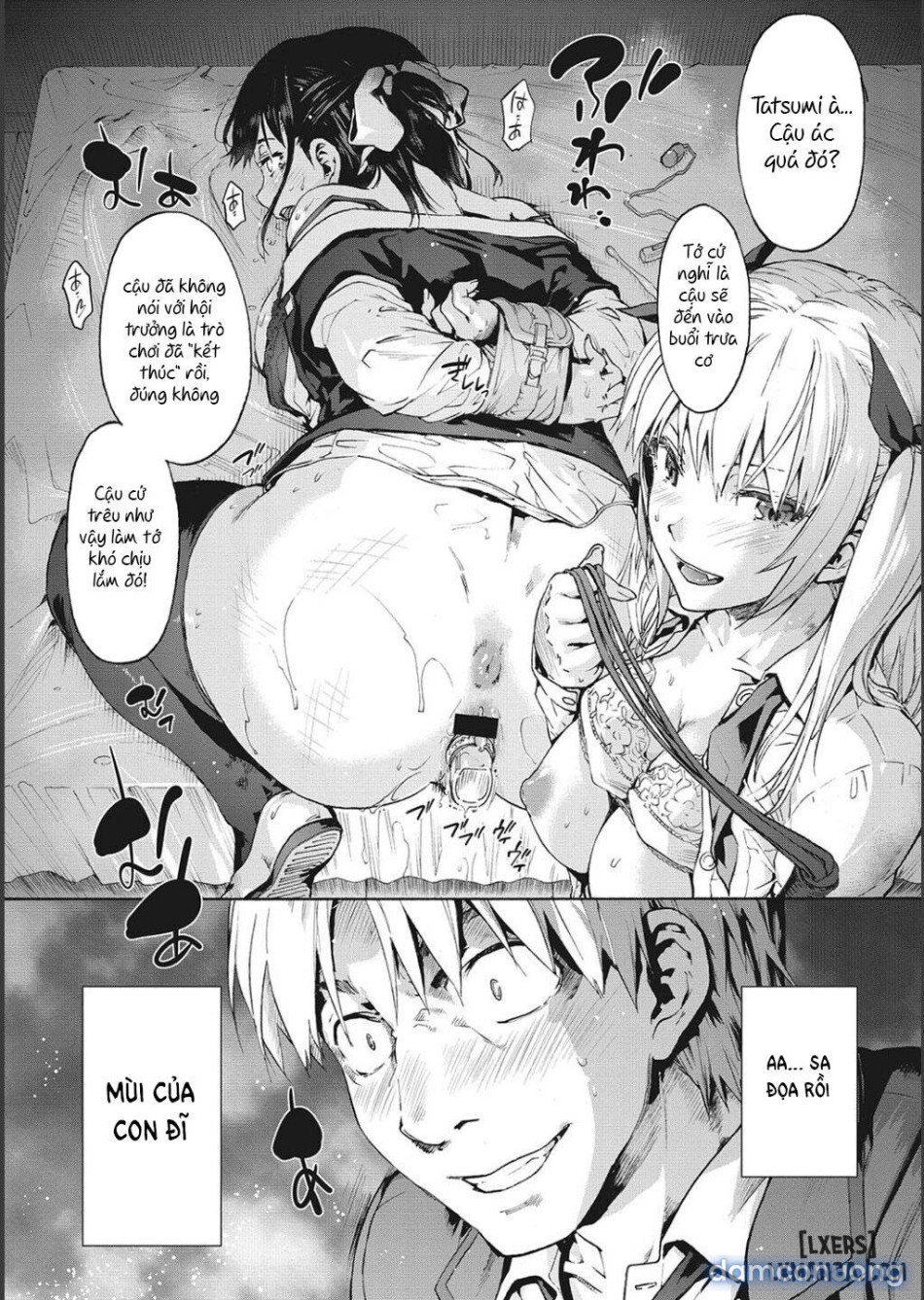 Harem Cult side CULT 
