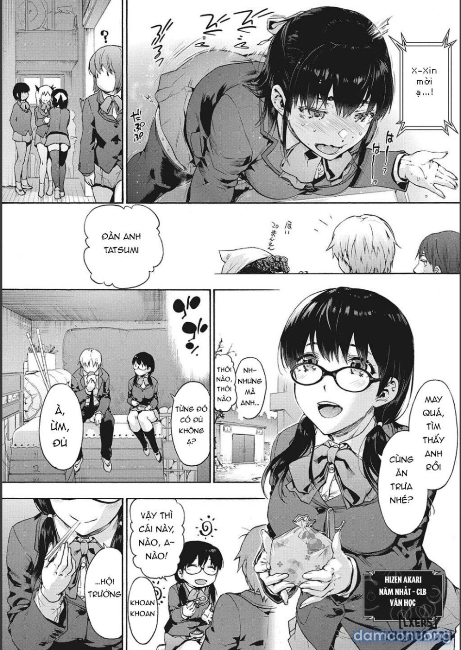 Harem Cult side CULT 