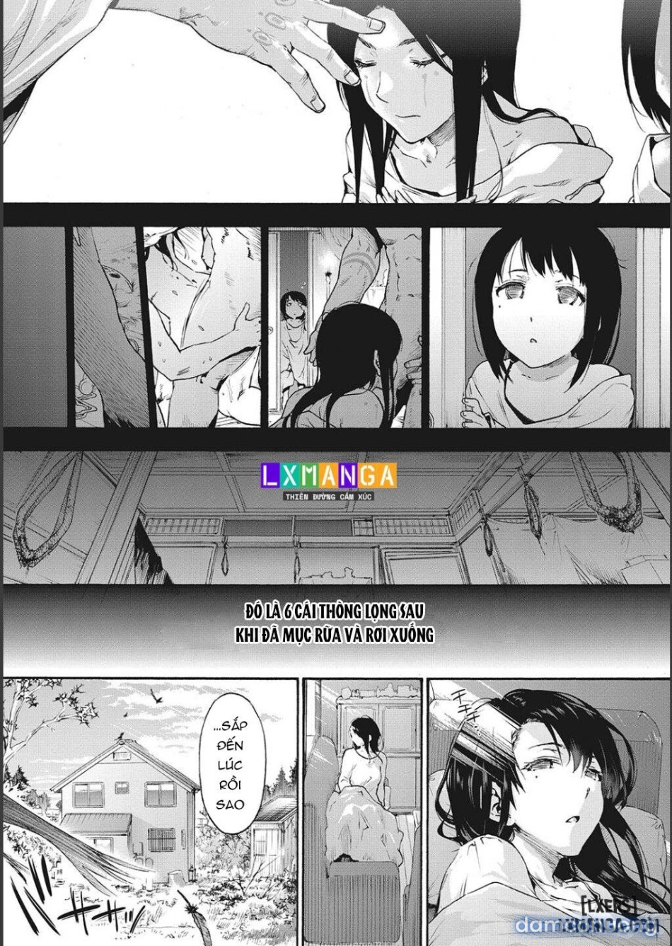 Harem Cult side CULT 