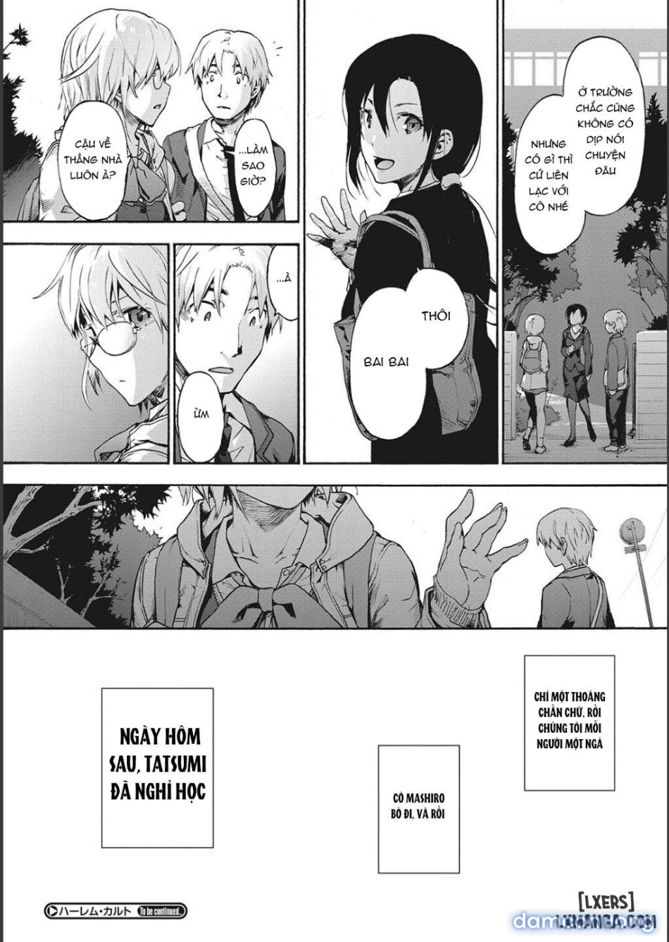 Harem Cult side CULT 