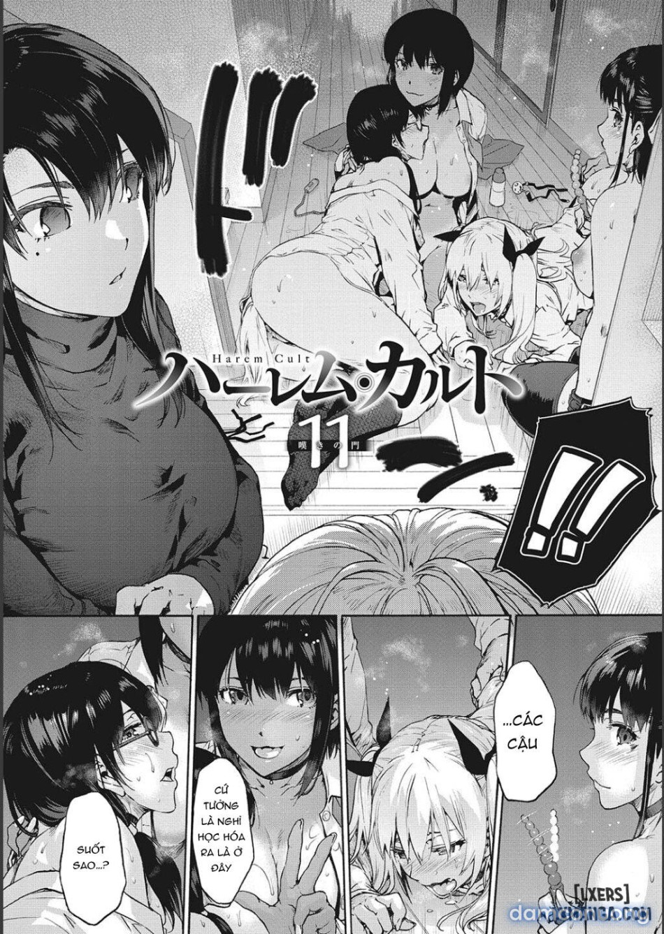 Harem Cult side CULT 