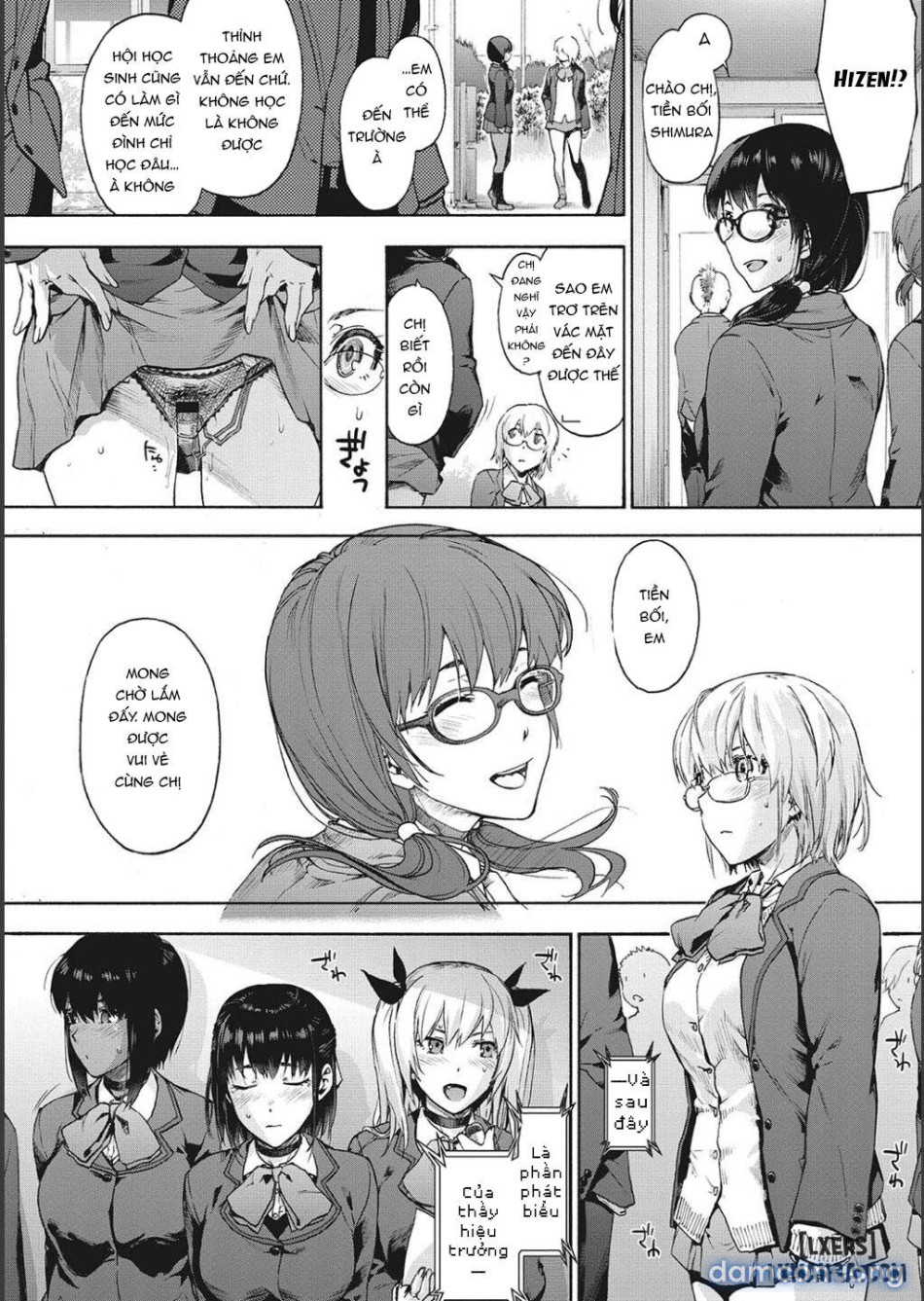Harem Cult side CULT 