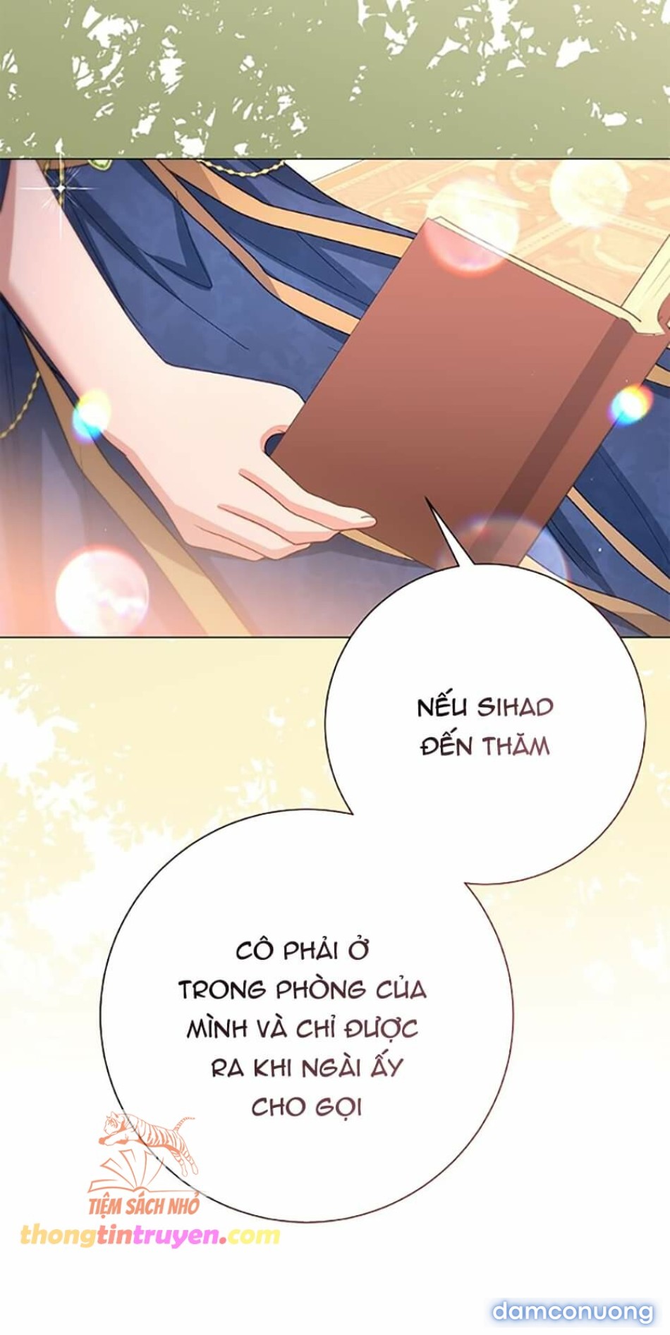 VẾT TRĂNG 