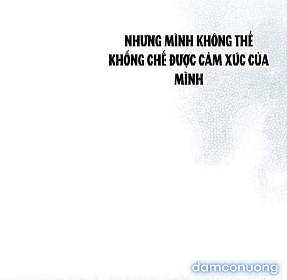 VẾT TRĂNG 