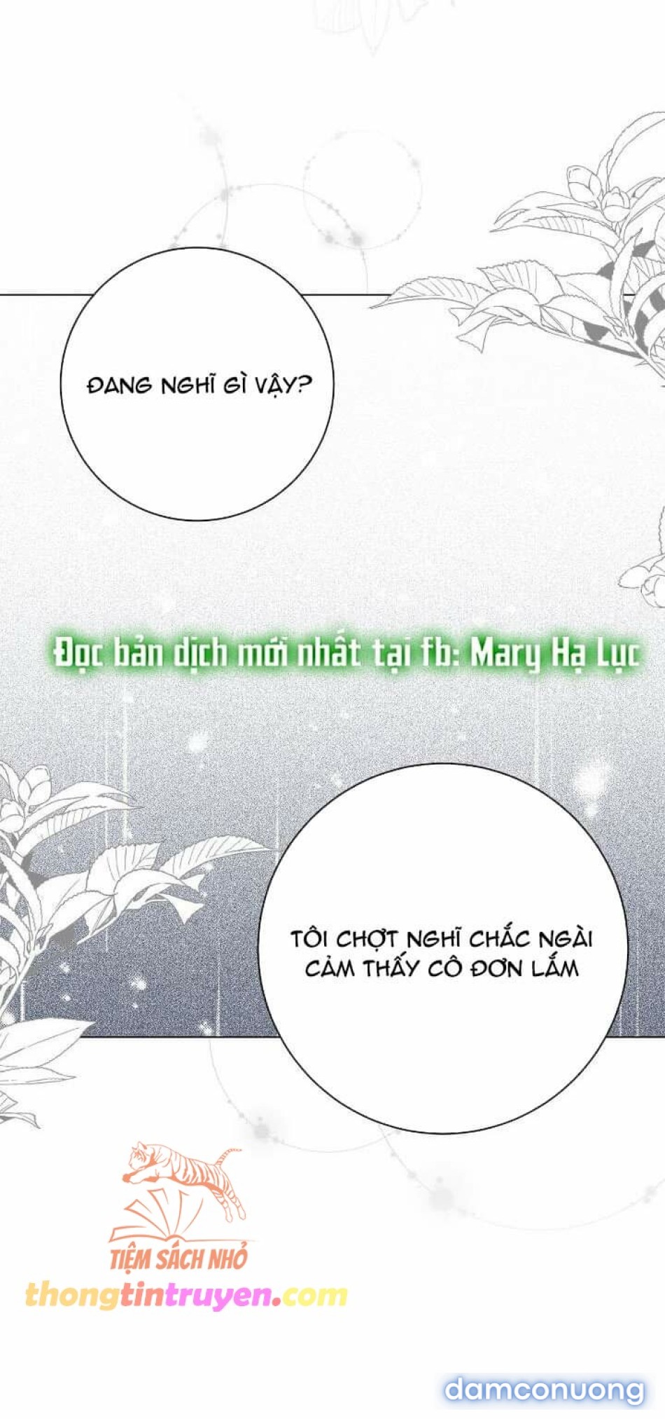 VẾT TRĂNG 