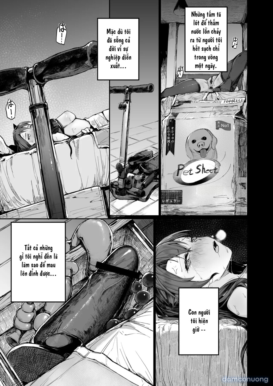 Kairaku Ochi shita Joyuu no Matsuro Zenpen 
