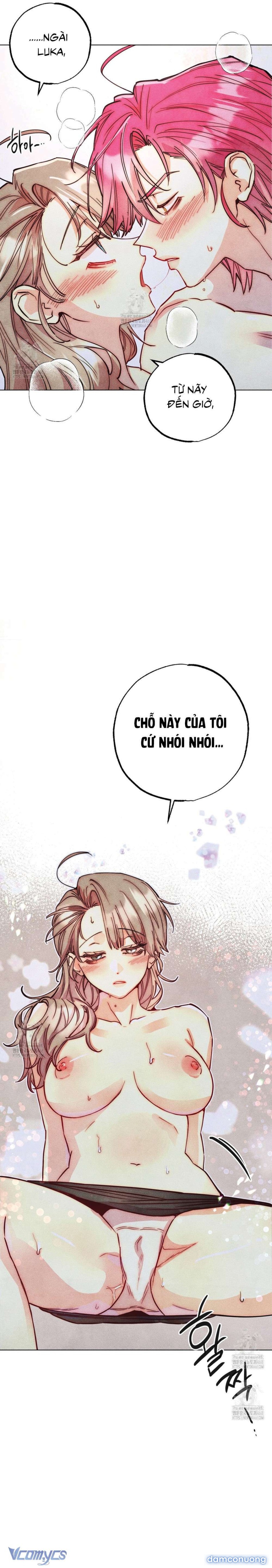 Thu Thập Đêm Đầu Tiên Của Các Nam Chính 