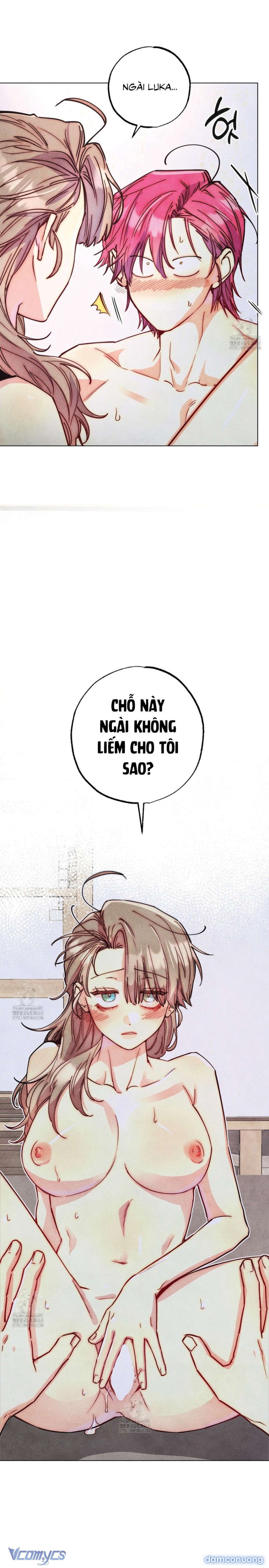 Thu Thập Đêm Đầu Tiên Của Các Nam Chính 