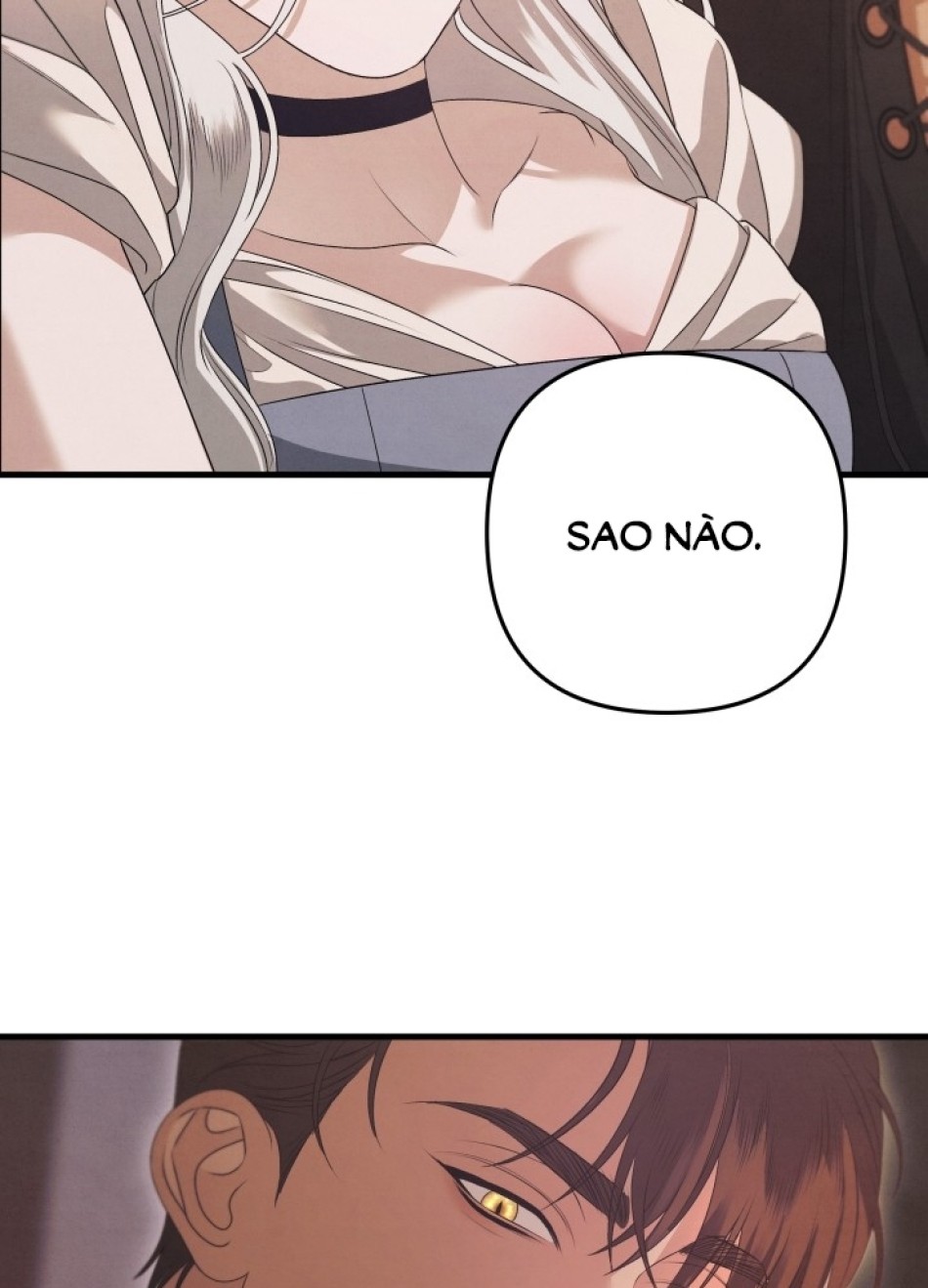 [18+] HÔN NHÂN CƯỠNG ĐOẠT 