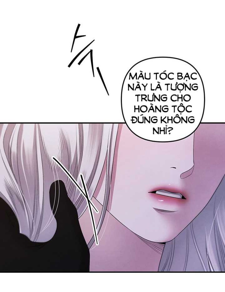 [18+] HÔN NHÂN CƯỠNG ĐOẠT 