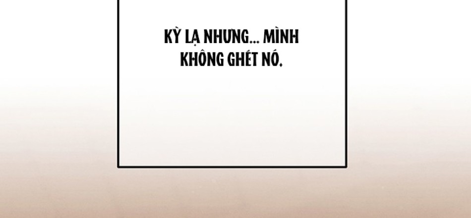 [18+] HÔN NHÂN CƯỠNG ĐOẠT 