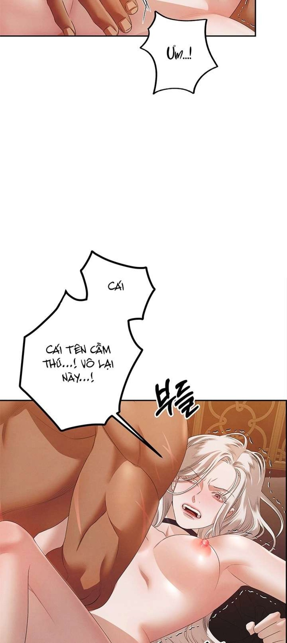 [18+] HÔN NHÂN CƯỠNG ĐOẠT 