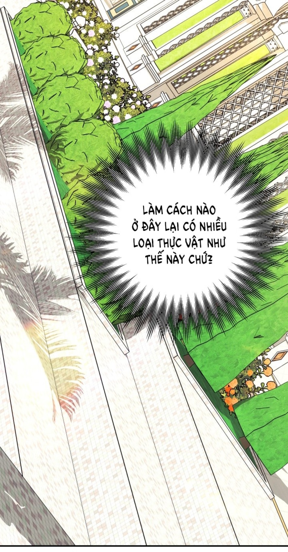 [18+] HÔN NHÂN CƯỠNG ĐOẠT 