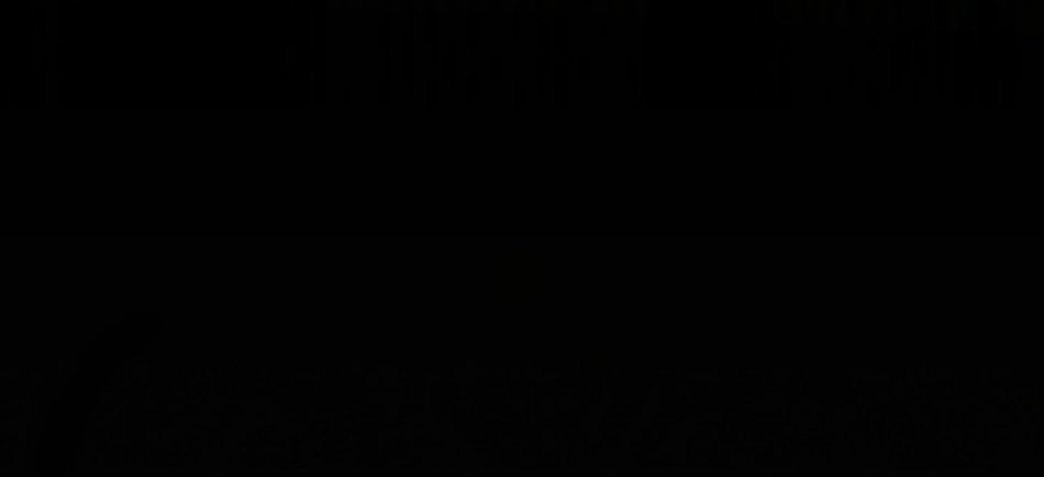 [18+] HÔN NHÂN CƯỠNG ĐOẠT 