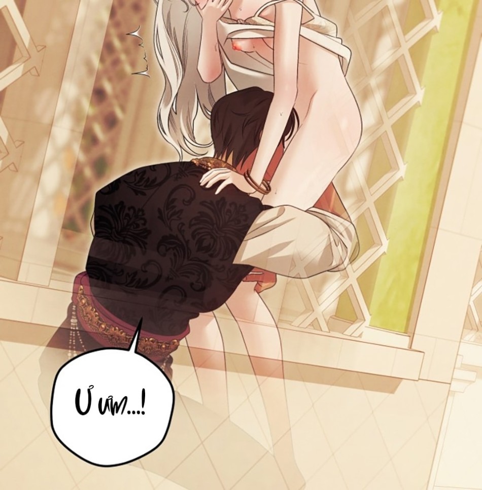 [18+] HÔN NHÂN CƯỠNG ĐOẠT 
