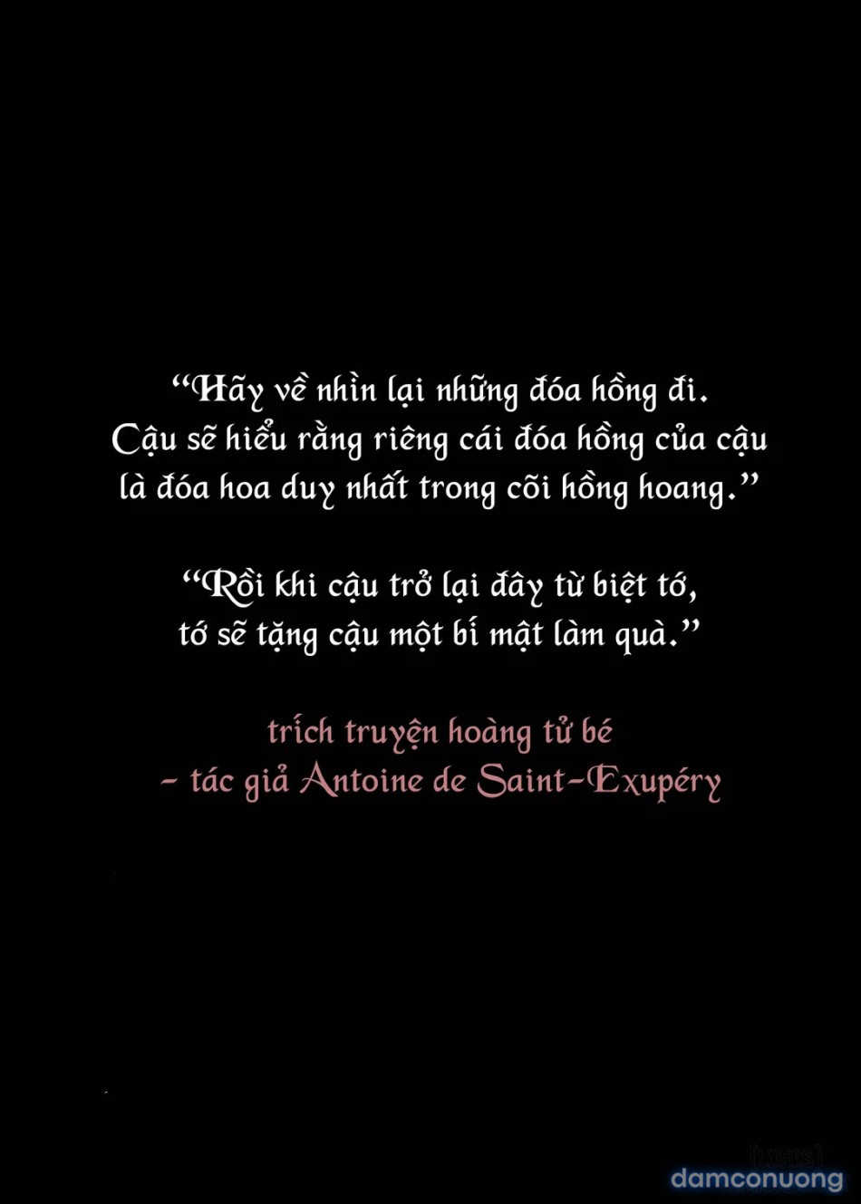 Cô ấy là bạn tôi, là con đĩ của hắn ta 