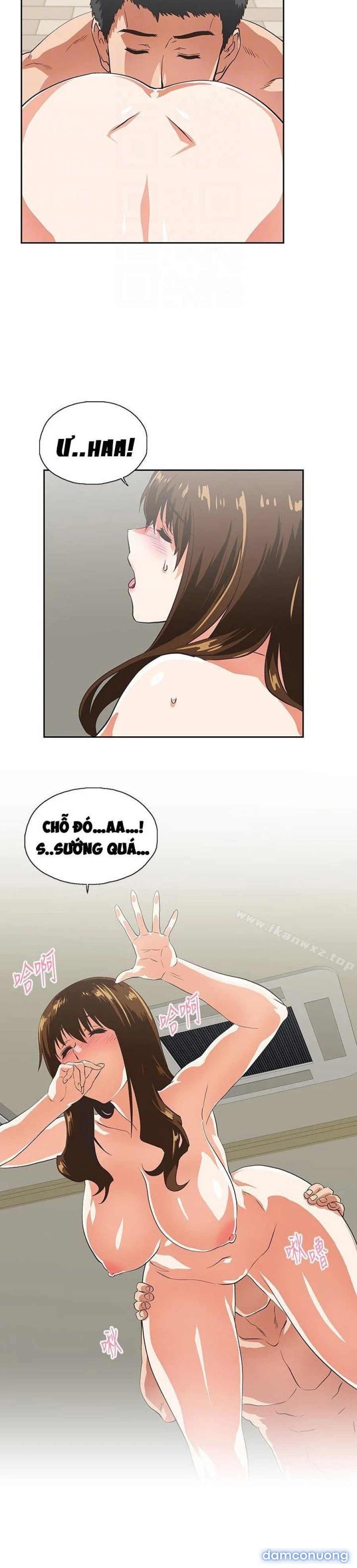 Duyên Phận 
