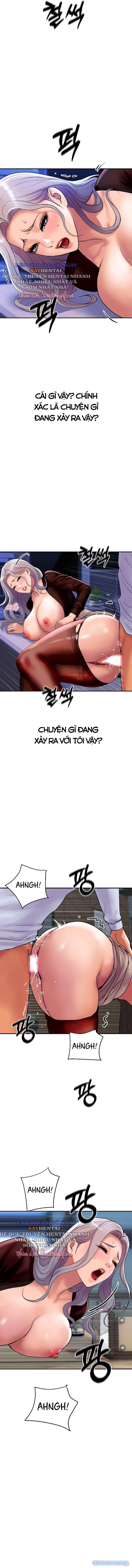 Gia Đình Hoàng Gia 