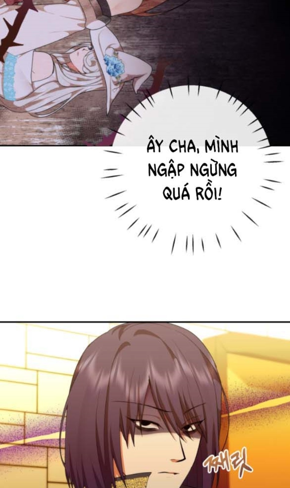 Dũng Sĩ Vị Tha 