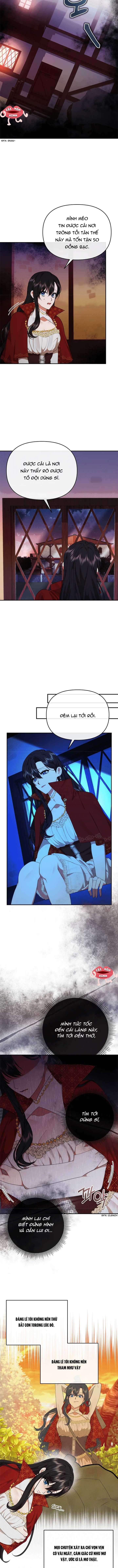 Dũng Sĩ Vị Tha 