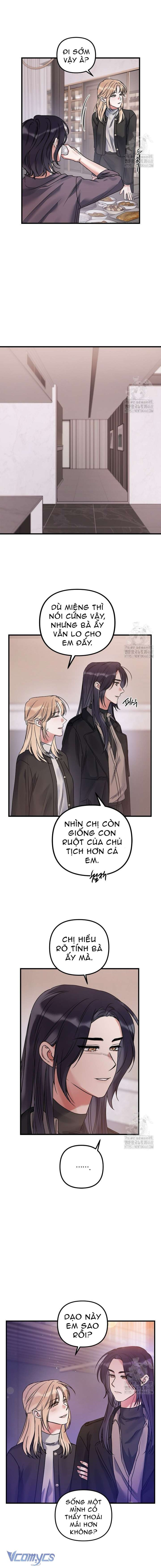 Tựa Như Chưa Bao Giờ Chia Ly 