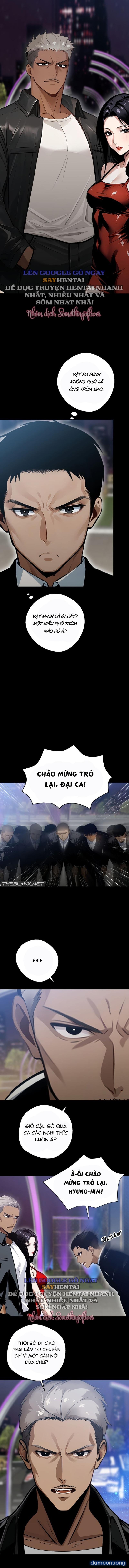 Gái gú xã hội đen 
