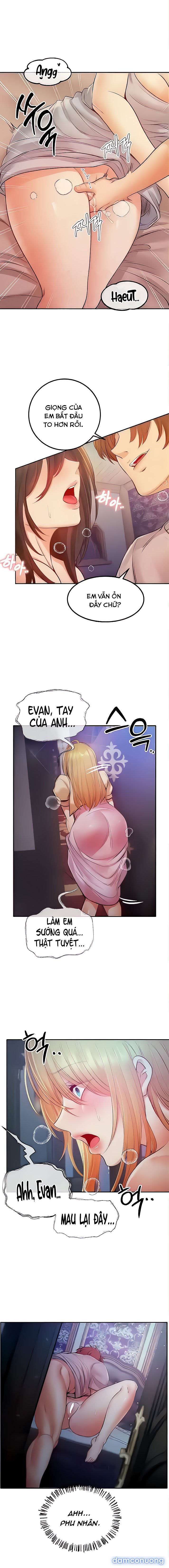 Trả thù bằng dàn Harem 