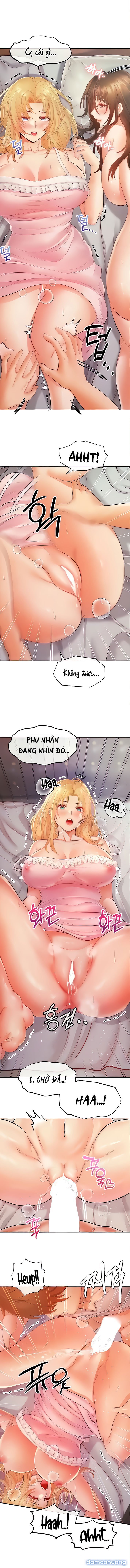 Trả thù bằng dàn Harem 