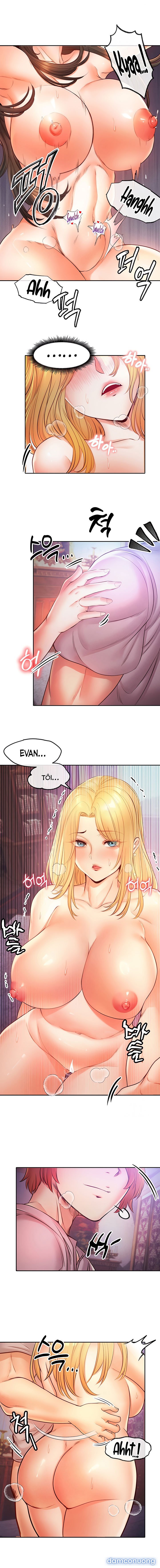 Trả thù bằng dàn Harem 