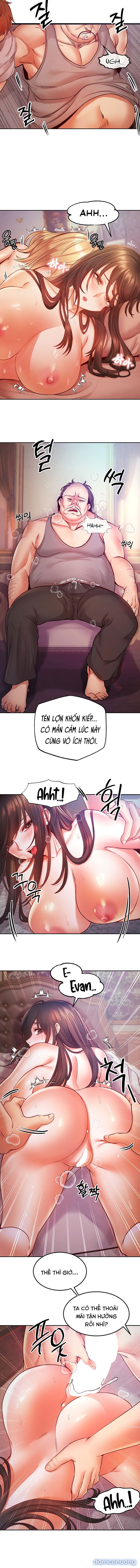 Trả thù bằng dàn Harem 